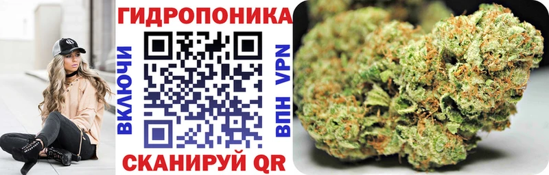 Бошки марихуана сатива  Мариинский Посад 